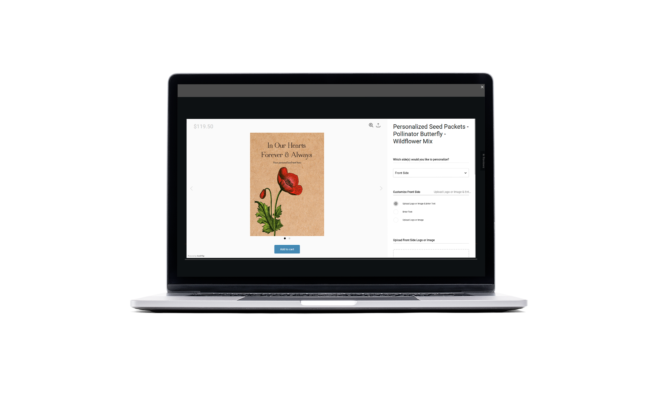 Bentley Seeds - Our Solution