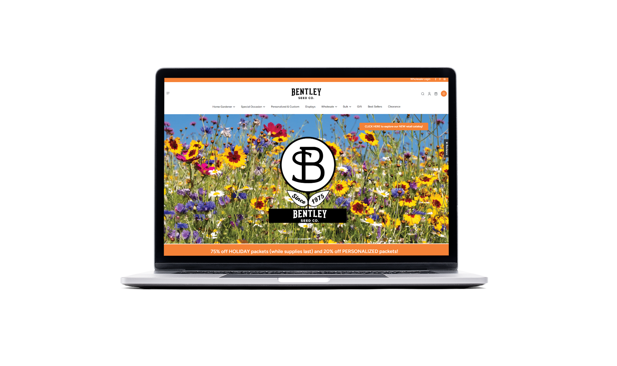 Bentley Seeds - Project Overview